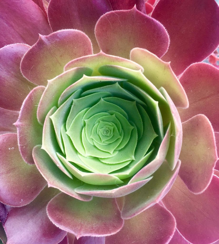 Return to Center - Mindfulness & Yoga Channel - Many more guided recordings by Lisa Pollard on - Aura (App for reducing Stress, Anxiety & Depression)https://www.aurahealth.io/
